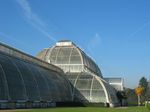 15396 Palm house - Victorian Glasshouse.jpg